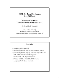 Session 7 - Main Theme XML Information Rendering (Part I)
