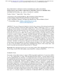 RNA-Dependent Amplification of Mammalian Mrna Encoding Extracellular Matrix Components