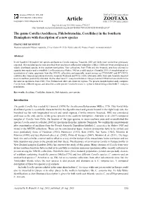 Ascidiacea, Phlebobranchia, Corellidae) in the Southern Hemisphere with Description of a New Species