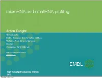 Computational Analysis of Microrna Function