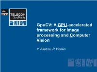 Gpucv: a GPU-Accelerated Framework for Image Processing and Computer Vision