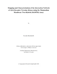 Mapping and Characterization of the Interaction Network of ALK Receptor Tyrosine Kinase Using the Mammalian Membrane Two-Hybrid (Mamth) Assay