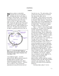 7-1 CHAPTER 7 VISION Hotoreception Is a Particularly Important Sense for Most Primates, Including Man, but It Is Not Unique to P