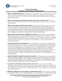 Canine Brucellosis Questions and Answers for Dog Owners