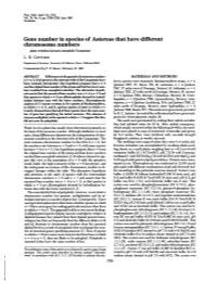 Gene Number in Species of Astereae That Have Different Chromosome Numbers (Plant Evolution/Isozymes/Aneuploidy/Compositae) L