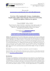 Overview of the Anyphaenids (Araneae, Anyphaeninae, Anyphaenidae) Spider Fauna from the Chocó Forest of Ecuador, with the Description of Thirteen New Species