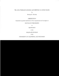 The Role of Balanced Excitation and Inhibition in Cortical Circuits by Brendan K