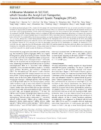 A Missense Mutation in SLC33A1, Which Encodes the Acetyl-Coa Transporter, Causes Autosomal-Dominant Spastic Paraplegia (SPG42)