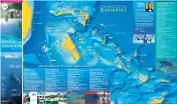 Bahamas.Com/Fishing Bahamas.Com/Fishing