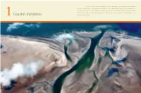 Coastal Dynamics Which We Regard Them