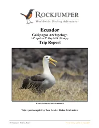 Ecuador Galápagos Archipelago 26Th April to 5Th May 2018 (10 Days) Trip Report