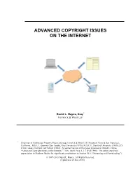 Advanced Copyright Issues on the Internet