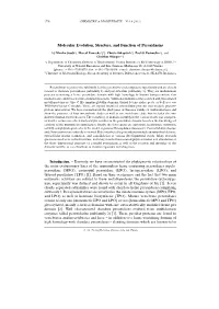 Molecular Evolution, Structure, and Function of Peroxidasins