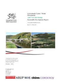 A487 Pont Ddyfi Newydd: Adroddiad Ar Ddatblygiad
