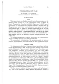 Insects of Guam-I CURCULIONIDAE of Gual\1 73 This Report, Based On