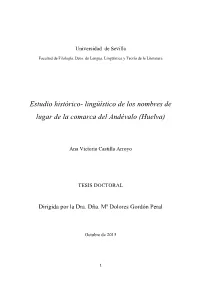 Lingüístico De Los Nombres De Lugar De La Comarca Del Andévalo (Huelva)