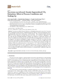 Vaccinium Meridionale Swartz Supercritical CO2 Extraction: Effect of Process Conditions and Scaling Up