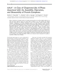 AAA : a Class of Chaperone-Like Atpases Associated with The