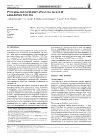 Phylogeny and Morphology of Four New Species of Lasiodiplodia from Iran