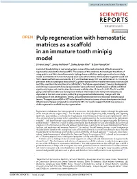 Pulp Regeneration with Hemostatic Matrices As a Scaffold in An