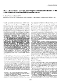 Connectional Basis for Frequency Representation in the Nuclei of the Lateral Lemniscus of the Bat Eptesicus Fuscus