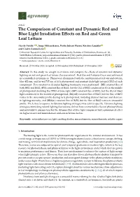 The Comparison of Constant and Dynamic Red and Blue Light Irradiation Eﬀects on Red and Green Leaf Lettuce