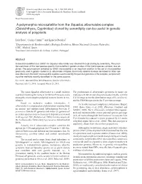 A Polymorphic Microsatellite from the Squalius Alburnoides Complex (Osteichthyes, Cyprinidae) Cloned by Serendipity Can Be Useful in Genetic Analysis of Polyploids