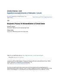 Enzymatic Process for Nixtamalization of Cereal Grains