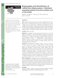 Hymenoptera: Colletidae): Emerging Patterns from the Southern End of the World Eduardo A
