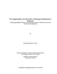 The Organization and Evolution of Biological Networks in Bacteria