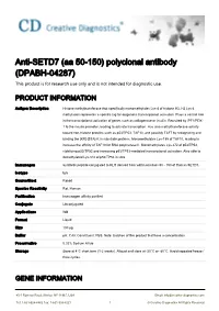 Anti-SETD7 (Aa 50-150) Polyclonal Antibody (DPABH-04287) This Product Is for Research Use Only and Is Not Intended for Diagnostic Use