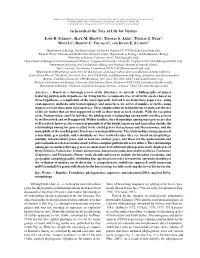 In Search of the Tree of Life for Turtles