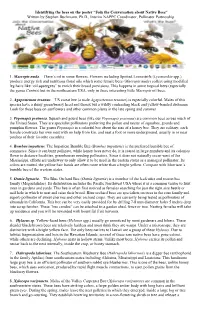 Identifying the Bees on the Poster “Join the Conversation About Native Bees” Written by Stephen Buchmann, Ph.D., Interim NAPPC Coordinator, Pollinator Partnership