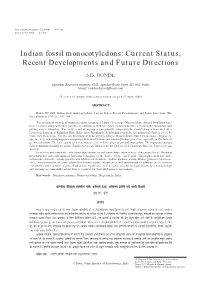 Indian Fossil Monocotyledons: Current Status, Recent Developments and Future Directions