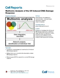 Multiomic Analysis of the UV-Induced DNA Damage Response
