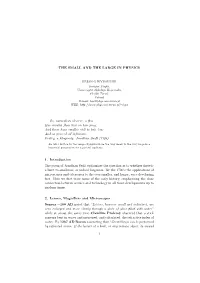 THE SMALL and the LARGE in PHYSICS So, Naturalists Observe, A