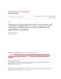 Utilizing Novel Grasslands for the Conservation and Restoration Of