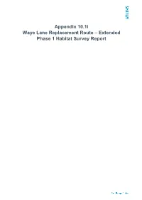 Extended Phase 1 Habitat Survey Report