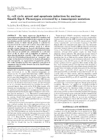 G1 Cell Cycle Arrest and Apoptosis Induction by Nuclear Smad4