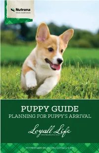 Puppy-Guide.Pdf