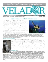 Sea Turtle Conservancy Newsletter