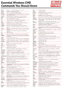 Essentials Windows CMD Command You Should Know