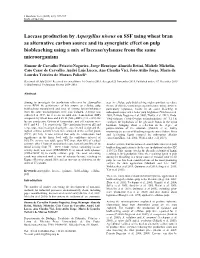 Laccase Production by Aspergillus Niveus on SSF Using Wheat Bran As