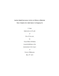 Lumbar Spinal Interneuron Activity As It Relates to Rhythmic Motor Output in the Adult, Spinal, Air-Stepping Cat Chantal Mcmahon Michel Lemay, Ph.D