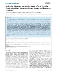 Molecular Mapping to Species Level of the Tonsillar Crypt Microbiota Associated with Health and Recurrent Tonsillitis