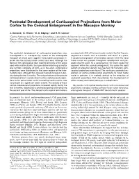 Postnatal Development of Corticospinal Projections from Motor Cortex to the Cervical Enlargement in the Macaque Monkey