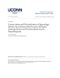 Conservation and Diversification of Appendage Identity Specification Mechanisms Along the Anteroposterior and Proximodistal Axes in Panarthropoda Frank W