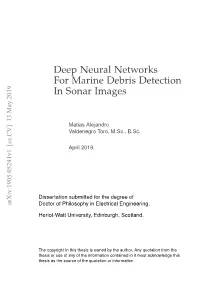 Deep Neural Networks for Marine Debris Detection in Sonar Images