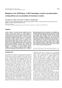 Mutations in the VPS45 Gene, a SEC1 Homologue, Result in Vacuolar Protein Sorting Defects and Accumulation of Membrane Vesicles