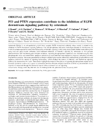 P53 and PTEN Expression Contribute to the Inhibition of EGFR Downstream Signaling Pathway by Cetuximab